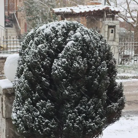 Tzovolos Διαμέρισμα Καλάβρυτα