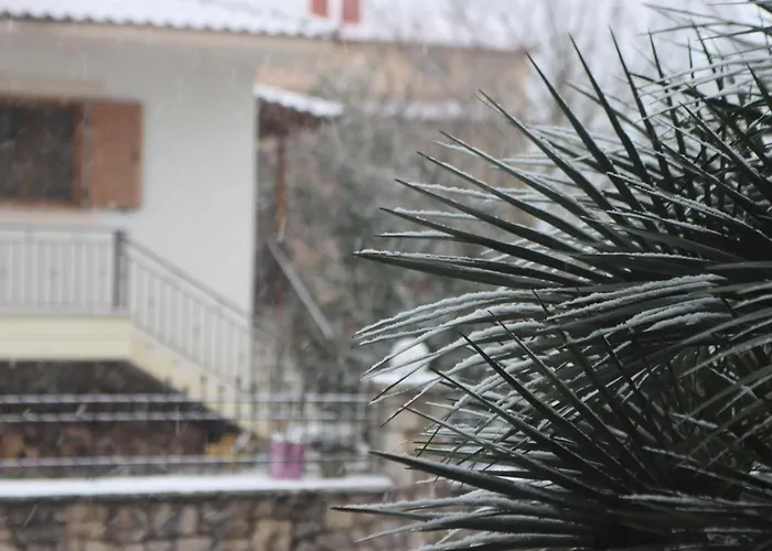 Tzovolos * Kalavryta