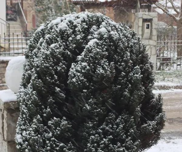 Tzovolos Apartamento Kalavryta